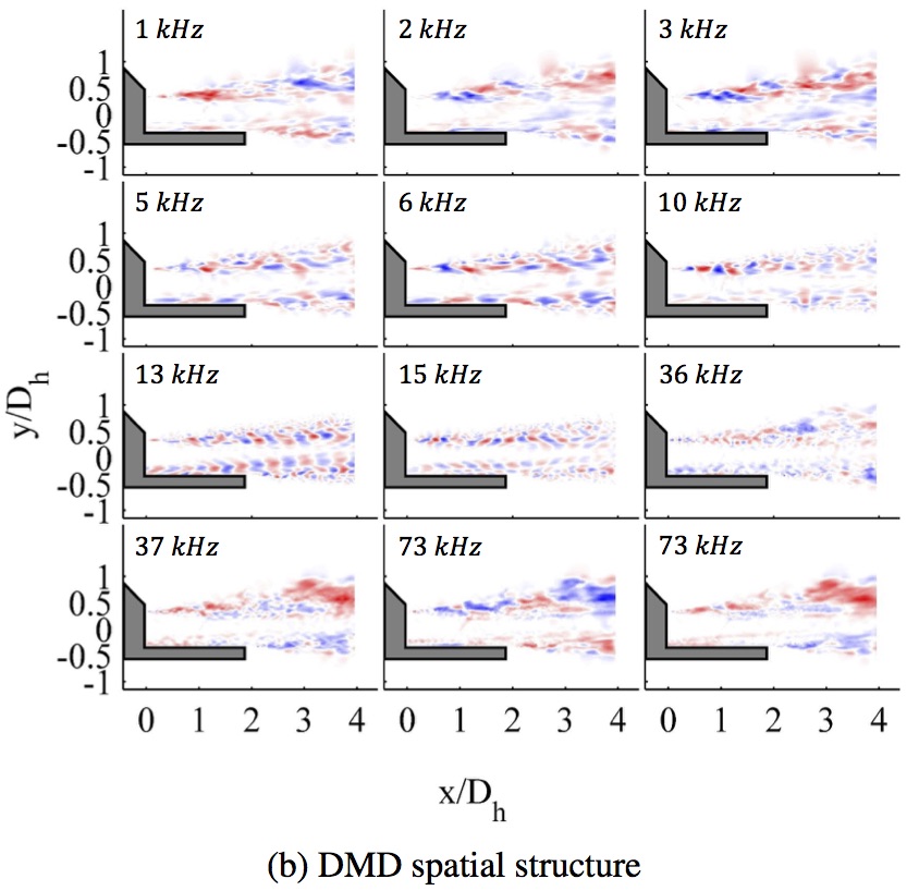 DMD spatial structure